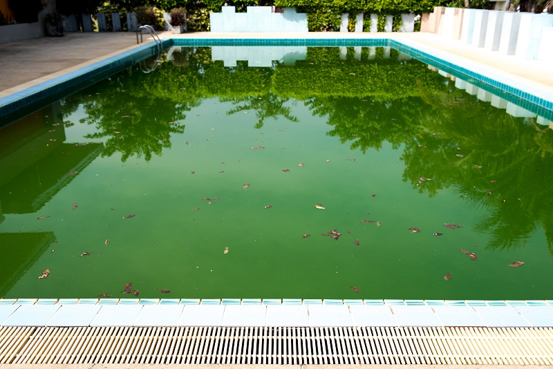 jak na zelenou vodu v bazénu